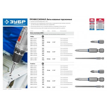 26013-2-100-1 | Бита торсионная кованая, обточенная, хромомолибденовая сталь, тип хвостовика E 1/4", PZ2, 100мм, 1шт, ЗУБР ЭКСПЕРТ-1