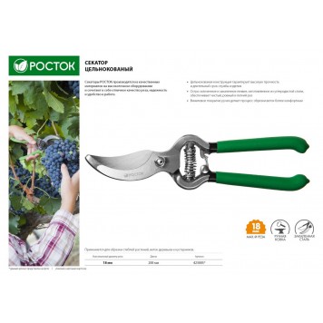 423005 | Секатор цельнокованый, плоскостной, 200 мм, РОСТОК PC-15-1