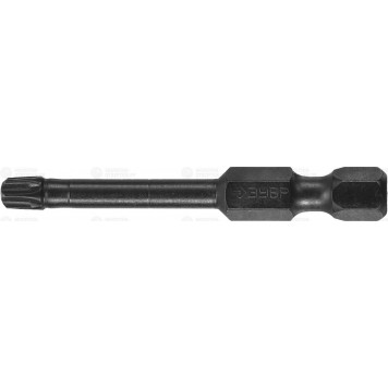 26025-25-50-S2 | Биты TORX, тип хвостовика E 1/4", T25, 50мм, 2шт, на карточке, ЗУБР ПРОФЕССИОНАЛ-0