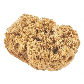 86817 | Губка натуральная для декоративных покрытий, MATRIX-0